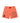 Mount Mens Swimshorts